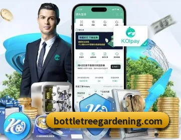 爱赢平台首页 APP